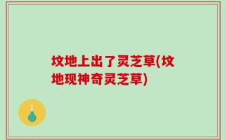 坟地上出了灵芝草(坟地现神奇灵芝草)