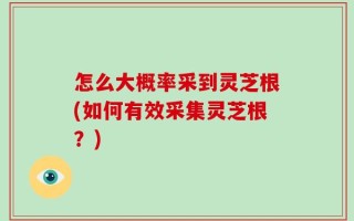 怎么大概率采到灵芝根(如何有效采集灵芝根？)