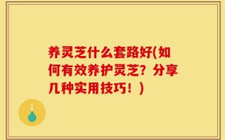 养灵芝什么套路好(如何有效养护灵芝？分享几种实用技巧！)