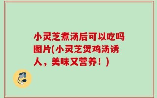 小灵芝煮汤后可以吃吗图片(小灵芝煲鸡汤诱人，美味又营养！)