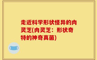 走近科学形状怪异的肉灵芝(肉灵芝：形状奇特的神奇真菌)