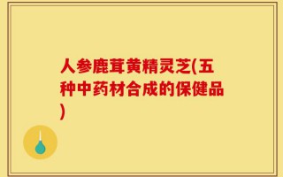 人参鹿茸黄精灵芝(五种中药材合成的保健品)