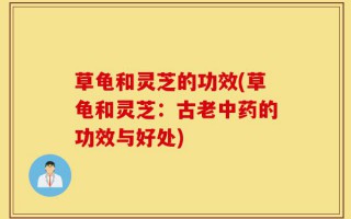 草龟和灵芝的功效(草龟和灵芝：古老中药的功效与好处)