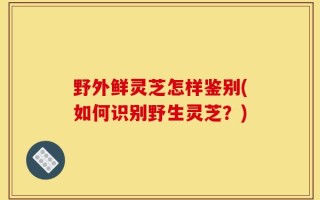 野外鲜灵芝怎样鉴别(如何识别野生灵芝？)