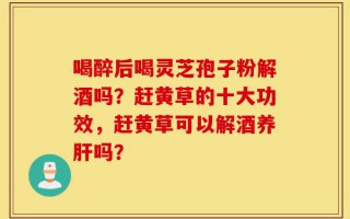 喝醉后喝灵芝孢子粉解酒吗？赶黄草的十大功效，赶黄草可以解酒养肝吗？