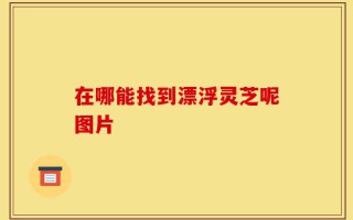 在哪能找到漂浮灵芝呢图片