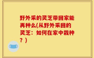 野外采的灵芝带回家能再种么(从野外采回的灵芝：如何在家中栽种？)