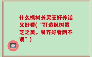 什么枫树长灵芝好养活又好看(“打造枫树灵芝之美，易养好看两不误”)