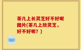 茶几上长灵芝好不好呢图片(茶几上放灵芝，好不好呢？)