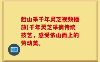 赶山采千年灵芝视频播放(千年灵芝采摘传统技艺，感受依山而上的劳动美。