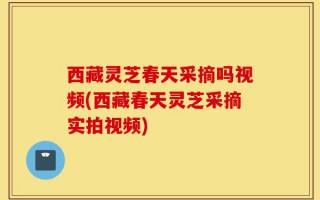 西藏灵芝春天采摘吗视频(西藏春天灵芝采摘实拍视频)