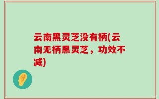 云南黑灵芝没有柄(云南无柄黑灵芝，功效不减)