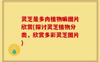灵芝是多肉植物嘛图片欣赏(探讨灵芝植物分类，欣赏多彩灵芝图片)