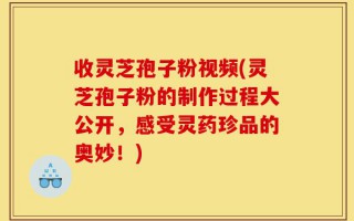 收灵芝孢子粉视频(灵芝孢子粉的制作过程大公开，感受灵药珍品的奥妙！)