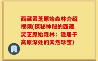 西藏灵芝原始森林介绍视频(探秘神秘的西藏灵芝原始森林：隐居于高原深处的天然珍宝)