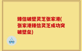 臻信破壁灵芝张家港(张家港臻信灵芝成功突破壁垒)