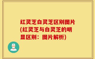 红灵芝白灵芝区别图片(红灵芝与白灵芝的明显区别：图片解析)