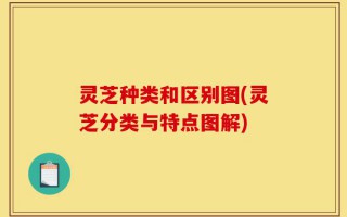 灵芝种类和区别图(灵芝分类与特点图解)
