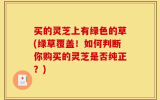 买的灵芝上有绿色的草(绿草覆盖！如何判断你购买的灵芝是否纯正？)