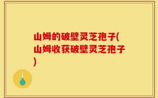 山姆的破壁灵芝孢子(山姆收获破壁灵芝孢子)