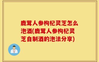 鹿茸人参枸杞灵芝怎么泡酒(鹿茸人参枸杞灵芝自制酒的泡法分享)
