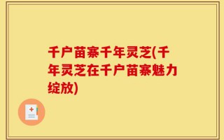 千户苗寨千年灵芝(千年灵芝在千户苗寨魅力绽放)