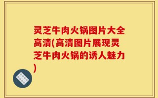 灵芝牛肉火锅图片大全高清(高清图片展现灵芝牛肉火锅的诱人魅力)