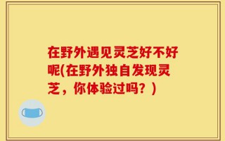在野外遇见灵芝好不好呢(在野外独自发现灵芝，你体验过吗？)