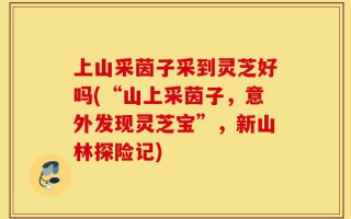 上山采茵子采到灵芝好吗(“山上采茵子，意外发现灵芝宝”，新山林探险记)