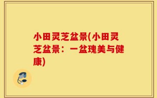小田灵芝盆景(小田灵芝盆景：一盆瑰美与健康)