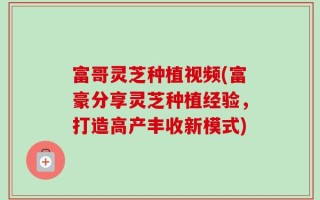富哥灵芝种植视频(富豪分享灵芝种植经验，打造高产丰收新模式)