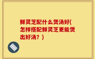 鲜灵芝配什么煲汤好(怎样搭配鲜灵芝更能煲出好汤？)