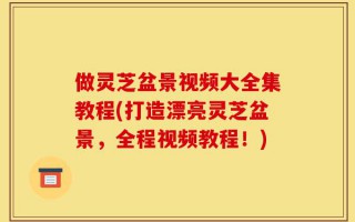 做灵芝盆景视频大全集教程(打造漂亮灵芝盆景，全程视频教程！)