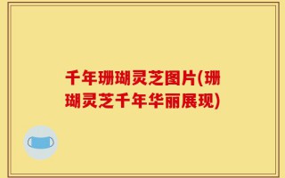 千年珊瑚灵芝图片(珊瑚灵芝千年华丽展现)