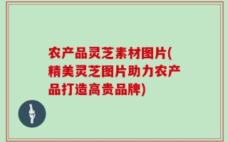 农产品灵芝素材图片(精美灵芝图片助力农产品打造高贵品牌)