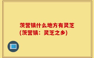 茨营镇什么地方有灵芝(茨营镇：灵芝之乡)