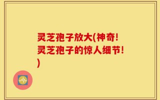 灵芝孢子放大(神奇!灵芝孢子的惊人细节!)