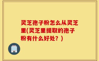 灵芝孢子粉怎么从灵芝里(灵芝里提取的孢子粉有什么好处？)