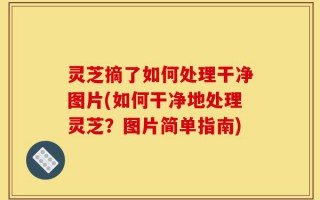 灵芝摘了如何处理干净图片(如何干净地处理灵芝？图片简单指南)