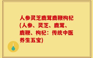 人参灵芝鹿茸鹿鞭枸杞(人参、灵芝、鹿茸、鹿鞭、枸杞：传统中医养生五宝)