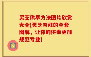 灵芝供奉方法图片欣赏大全(灵芝祭拜的全套图解，让你的供奉更加规范专业)