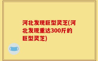 河北发现巨型灵芝(河北发现重达300斤的巨型灵芝)