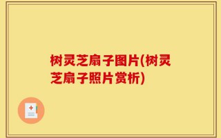 树灵芝扇子图片(树灵芝扇子照片赏析)