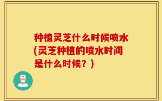 种植灵芝什么时候喷水(灵芝种植的喷水时间是什么时候？)