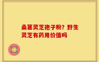 桑葚灵芝孢子粉？野生灵芝有药用价值吗