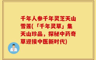 千年人参千年灵芝天山雪莲(「千年灵草」集天山珍品，探秘中药奇草迎接中医新时代)