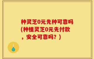 种灵芝0元先种可靠吗(种植灵芝0元先付款，安全可靠吗？)