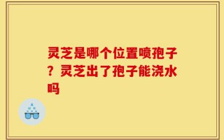 灵芝是哪个位置喷孢子？灵芝出了孢子能浇水吗