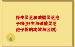 野生灵芝和破壁灵芝孢子粉(野生与破壁灵芝孢子粉的功效与区别)