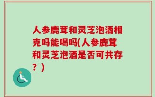 人参鹿茸和灵芝泡酒相克吗能喝吗(人参鹿茸和灵芝泡酒是否可共存？)